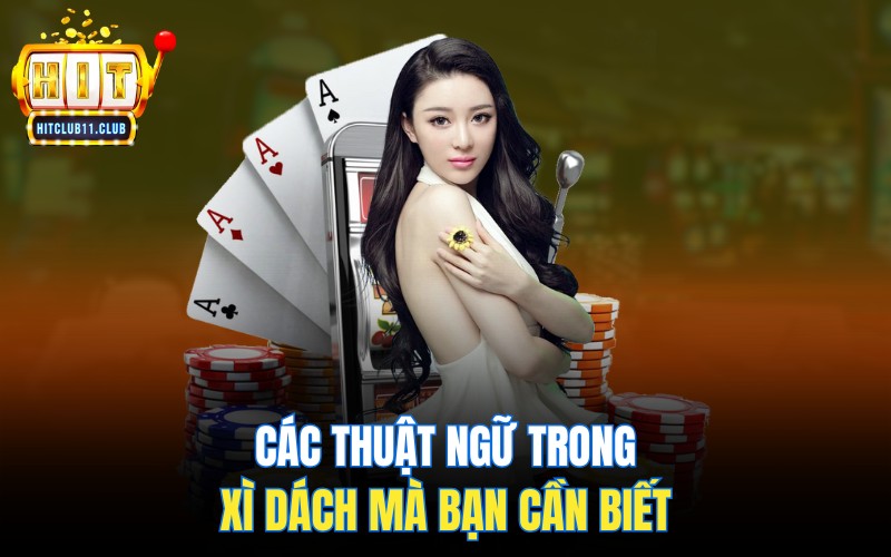 XÌ Dách HitClub | Bí Kíp ĂN TIỀN Góp Nhặt Từ Cao Thủ 4 Các thuật ngữ trong Xì dách mà bạn cần biết