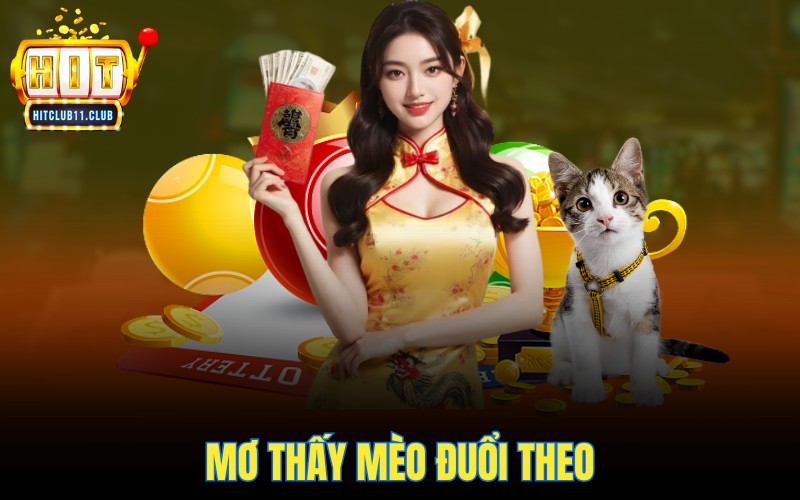 Mơ thấy mèo đuổi theo