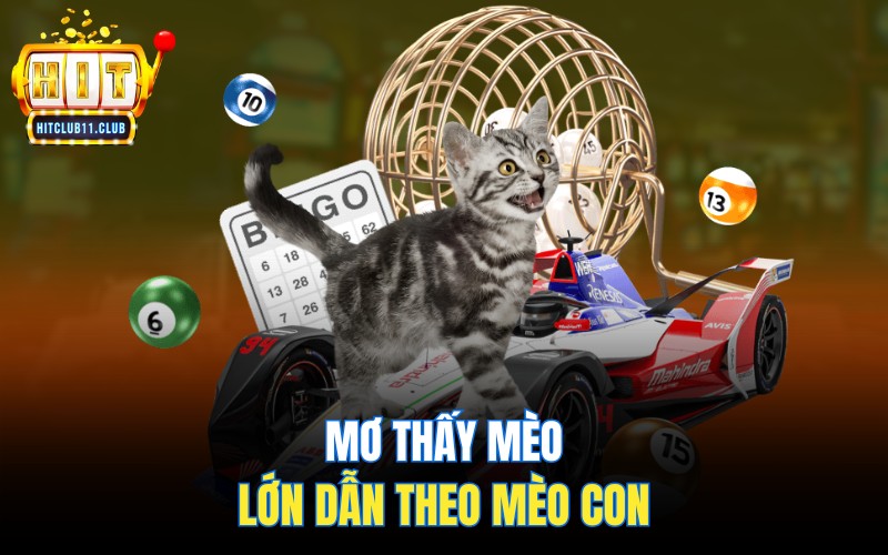 Mơ thấy mèo lớn dẫn theo mèo con
